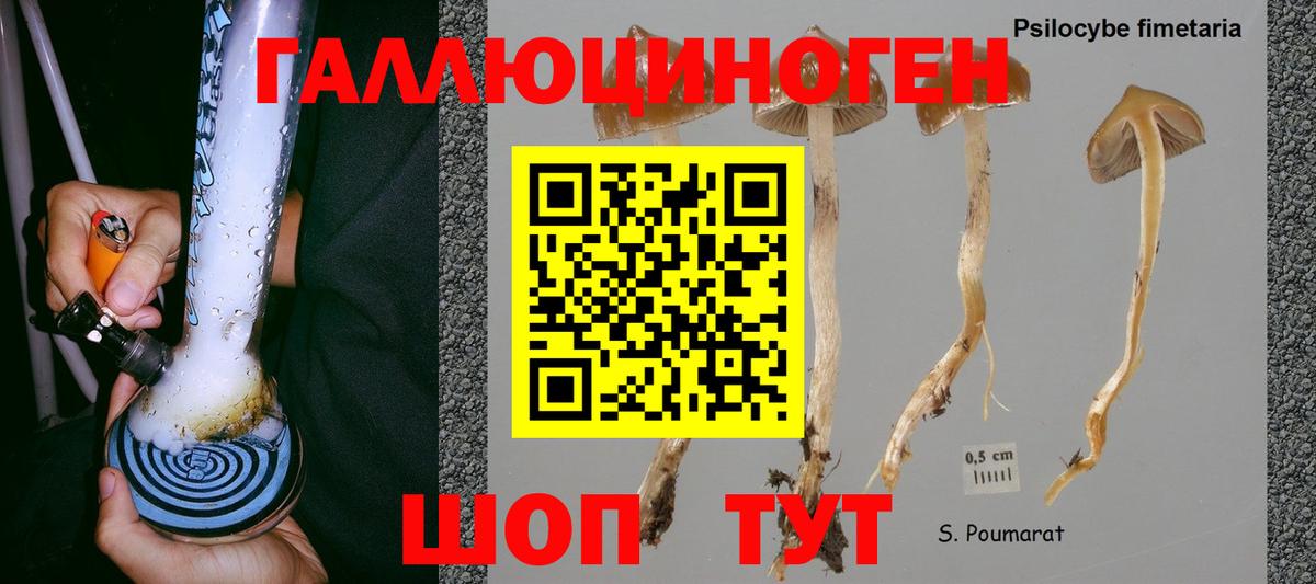 АМФЕТАМИН Кушва